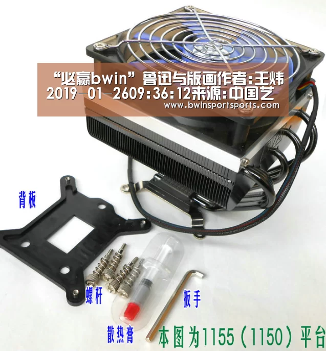 必赢bwin官网