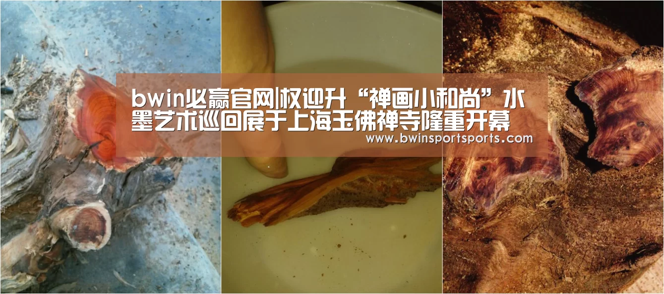 bwin必赢官网|权迎升“禅画小和尚”水墨艺术巡回展于上海玉佛禅寺隆重开幕(图2) bwin必赢官网
